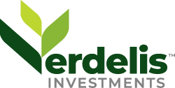 Verdelis Investments