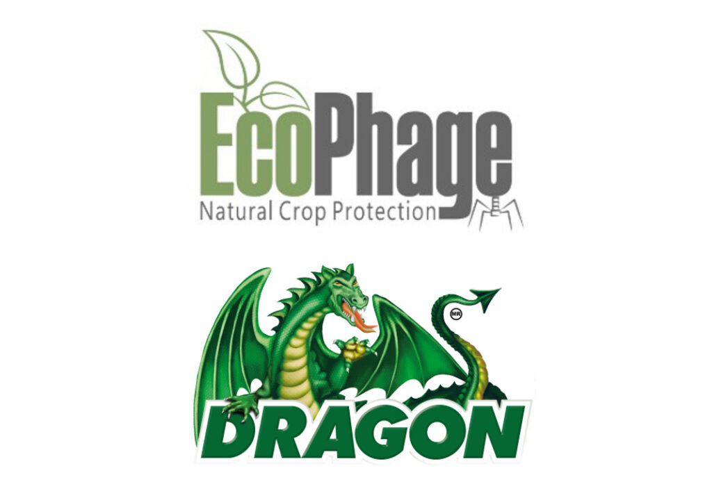 EcoPhage, Dragon sign distribution agreement for Mexico