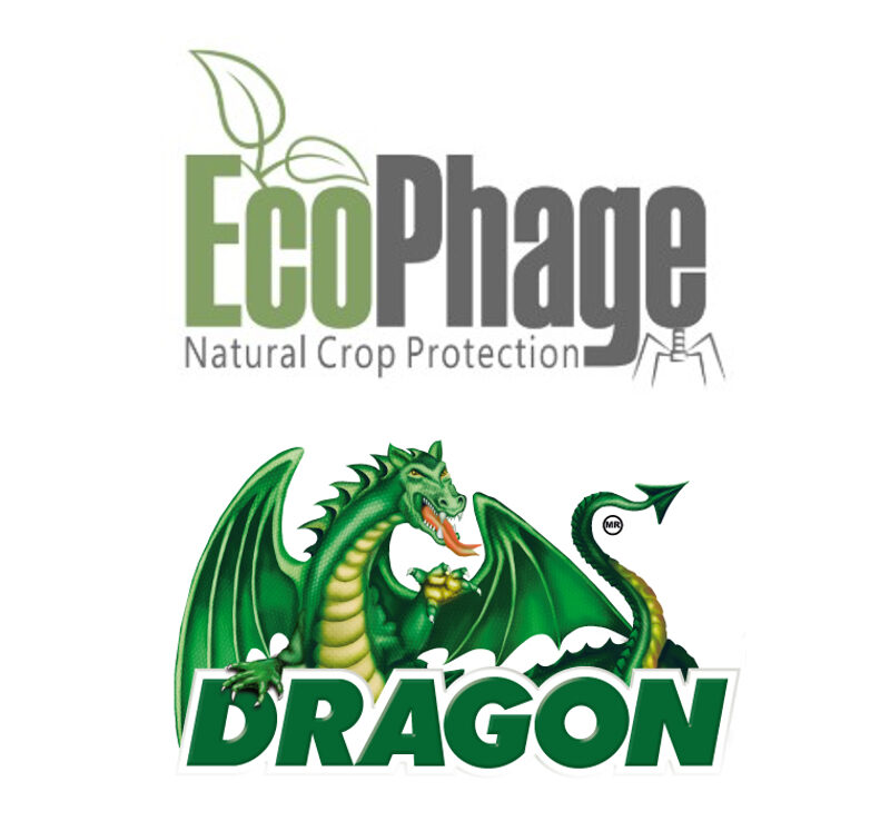 EcoPhage, Dragon sign distribution agreement for Mexico